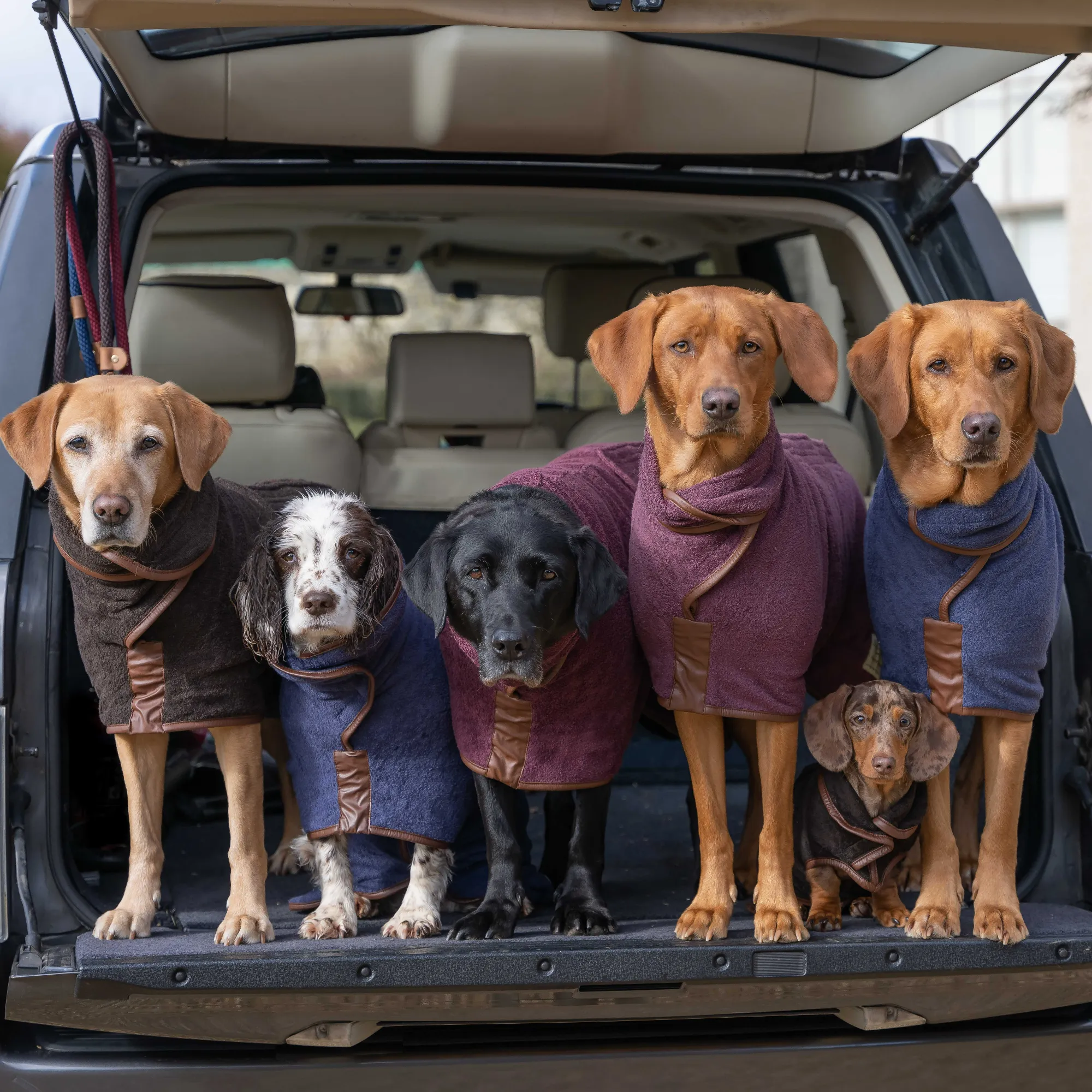 Dog Drying Coat - Country Collection