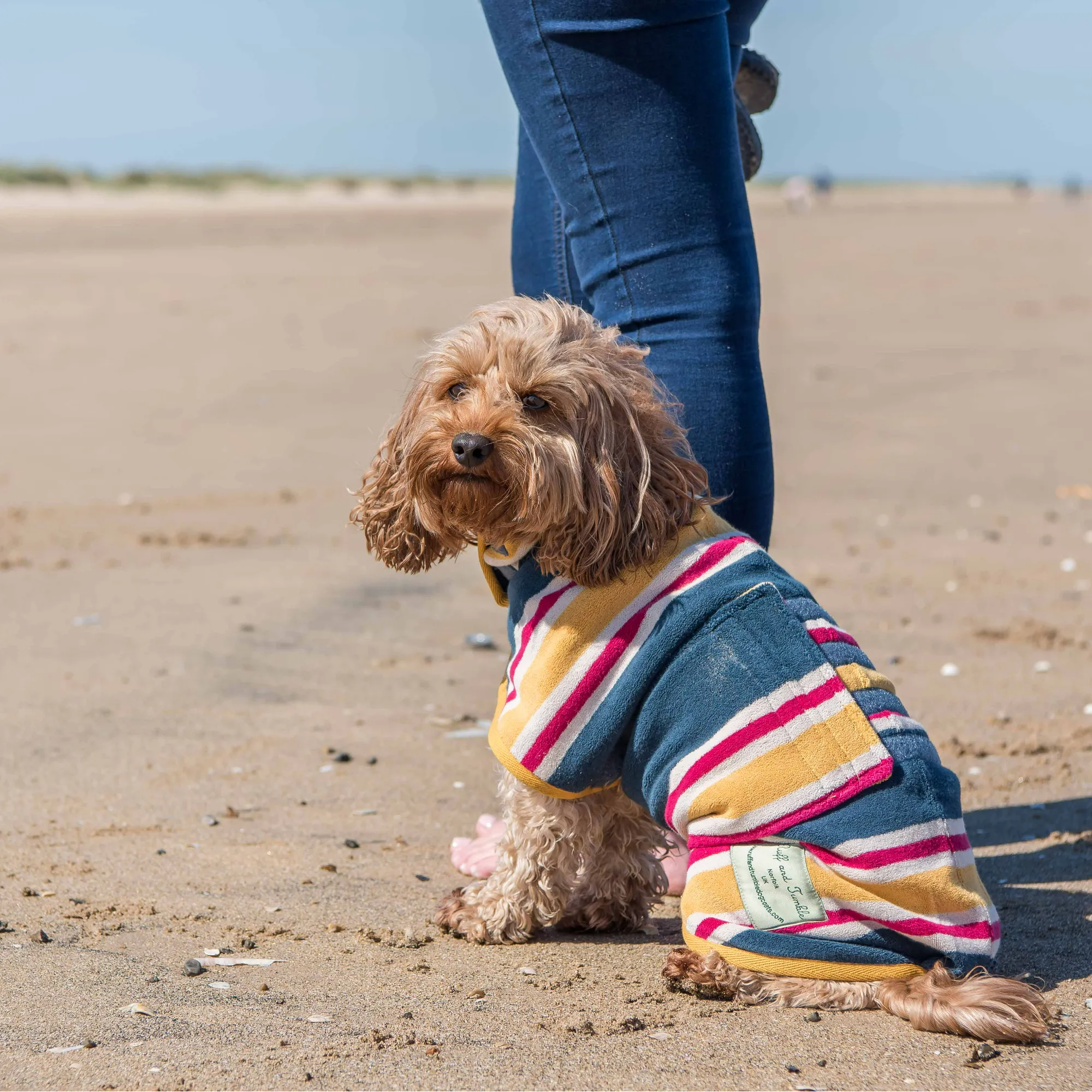 Dog Drying Coat - Design Collection